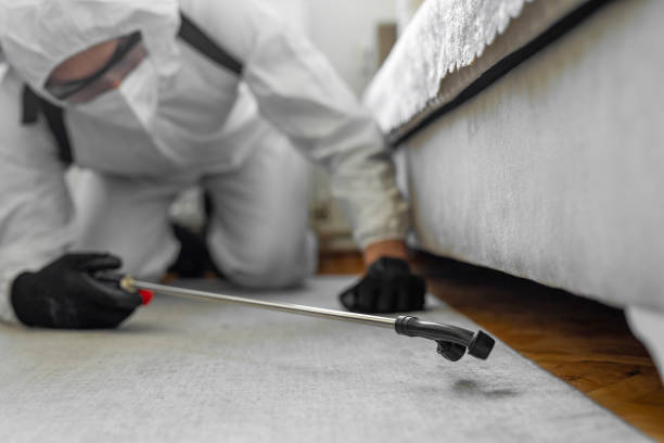 Professional Termite Control technician working in Rutherford, NJ