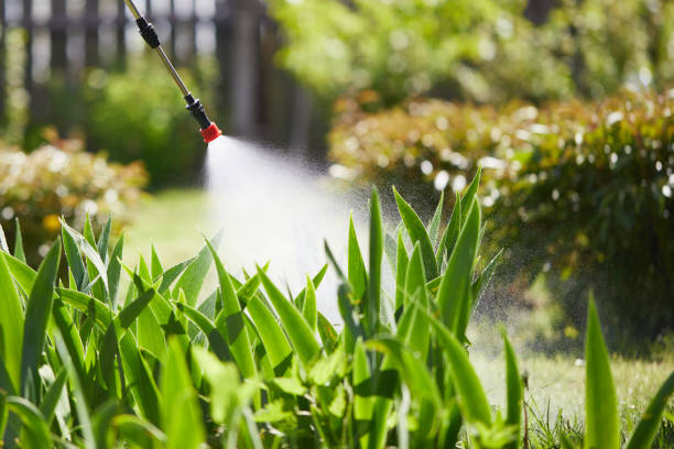 24/7 Emergency Termite Control experts in Rutherford, NJ