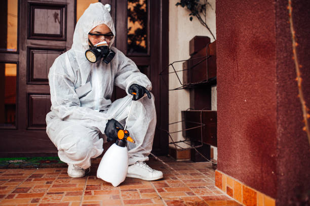 Reliable Termite Control contractor in Rutherford, NJ by Nex Pest Control