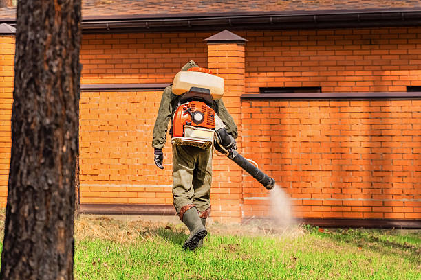 Top rated local Termite Control specialists in Rutherford, NJ